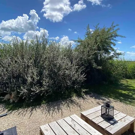 Villa Luxe 8 Persoons 'golfvillatexel' Vlakbij Zee