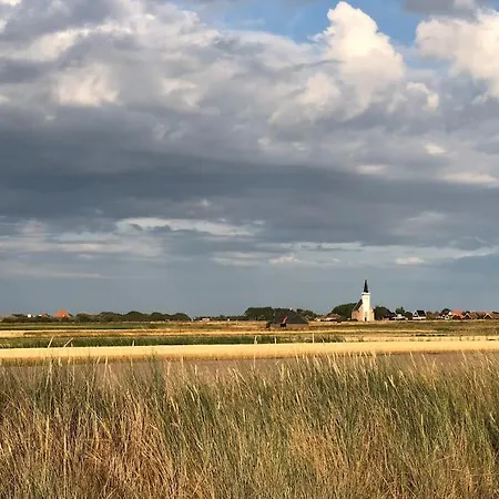 Luxe 8 Persoons 'golfvillatexel' Vlakbij Zee Villa *
