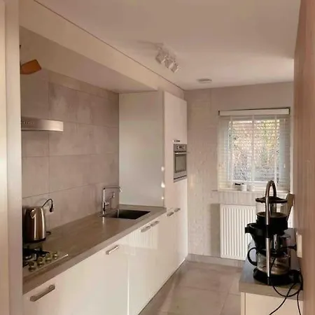 Vila Luxe 8 Persoons 'golfvillatexel' Vlakbij Zee