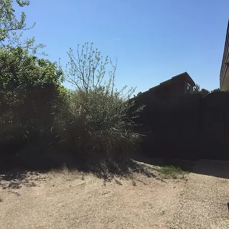 Luxe 8 Persoons 'golfvillatexel' Vlakbij Zee Vila De Cocksdorp (Texel)