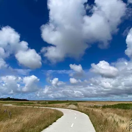 Villa Luxe 8 Persoons 'golfvillatexel' Vlakbij Zee *