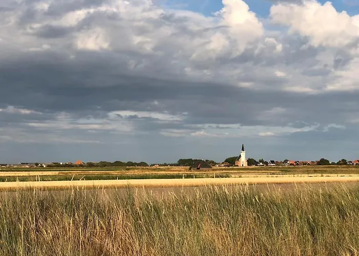 Luxe 8 Persoons ‘golfvillatexel’ Vlakbij Zee Villa *