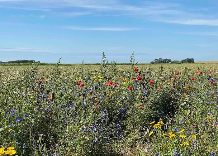 Luxe 8 Persoons ‘golfvillatexel’ Vlakbij Zee * De Cocksdorp (Texel)