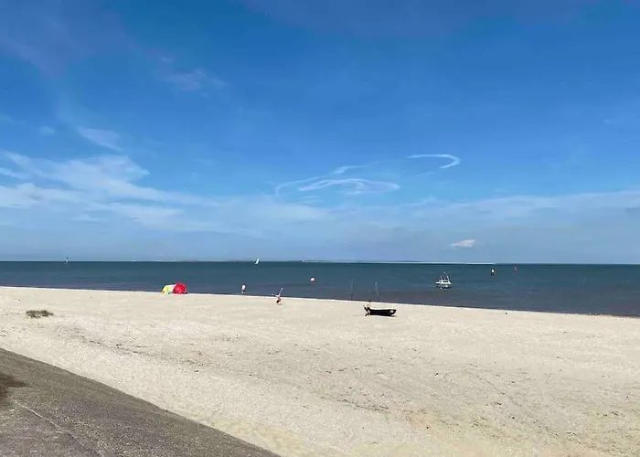 Villa Luxe 8 Persoons ‘golfvillatexel’ Vlakbij Zee *