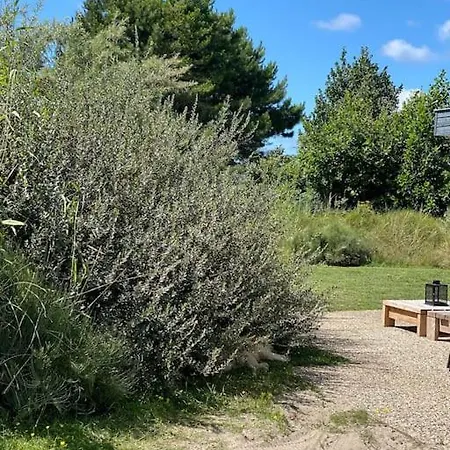 Willa Luxe 8 Persoons 'golfvillatexel' Vlakbij Zee *