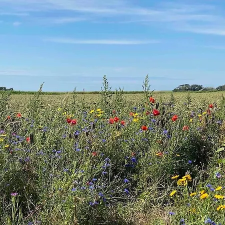 Luxe 8 Persoons 'golfvillatexel' Vlakbij Zee * De Cocksdorp (Texel)