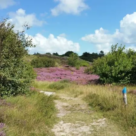 Luxe 8 Persoons 'golfvillatexel' Vlakbij Zee Willa